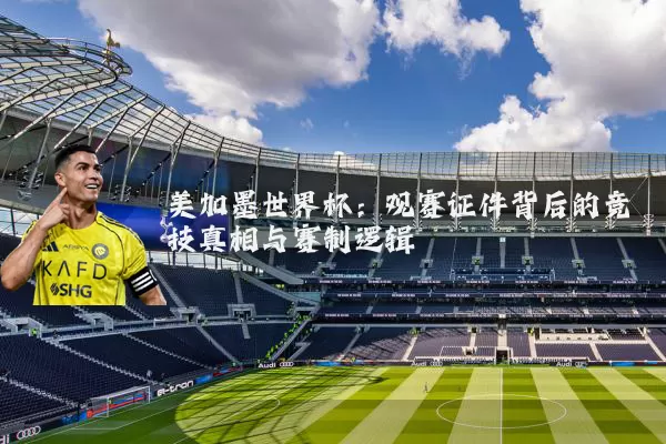 美加墨世界杯:观赛证件背后的竞技真相与赛制逻辑
